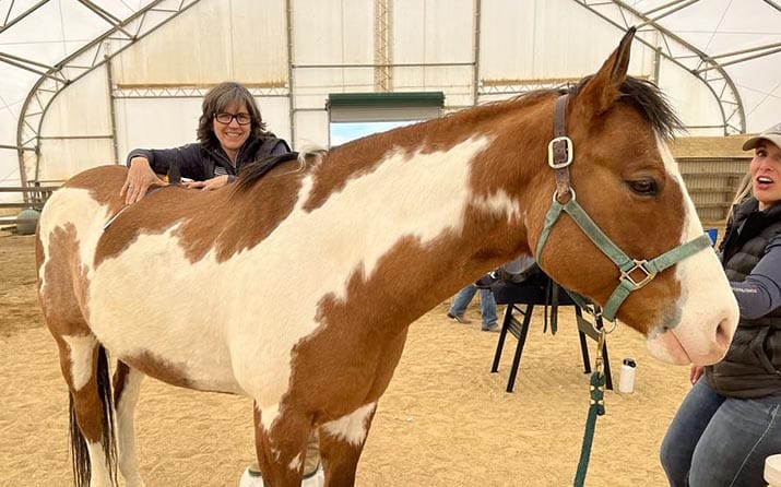Adrienne working on a horse at a saddle fitting clinic