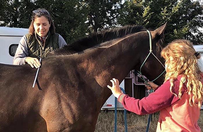 on-site saddle fitting Adrienne Hendricks conducting on-site saddle fitting with horse and owner