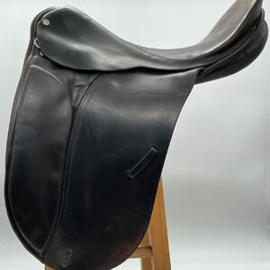 County Competition 17 M (#3) Black Saddle